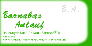 barnabas anlauf business card